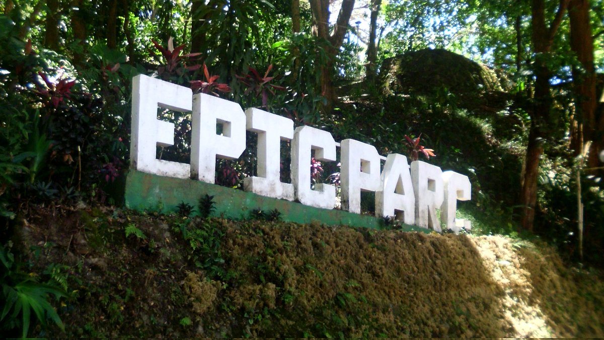 eightetoile's tweet photo. went on a youth camp trip https://t.co/jayUVWzpFZ