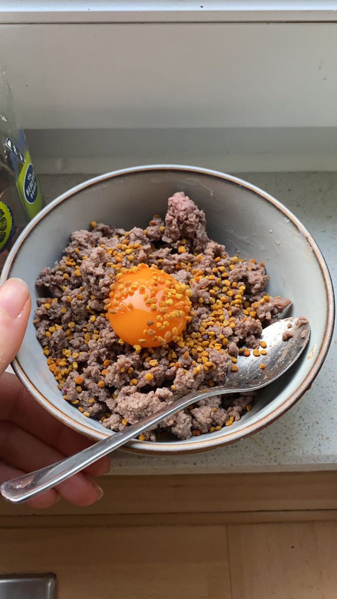 lynn🇩🇪🌼🍊🌞 tweet media