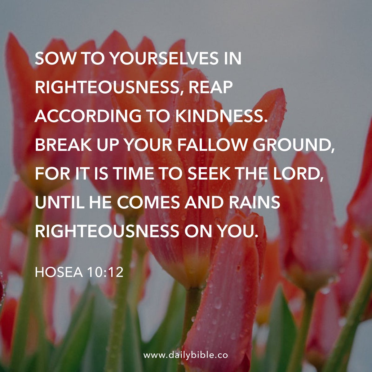 AliBradleyTV's tweet photo. #DailyVerse https://t.co/E1bZ0PipgX