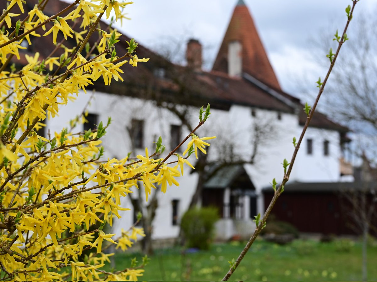 Throjaphoto's tweet image. #4gewinnt #ConnectFour

Frühling auf der weltlängsten Burg zu #Burghausen. Teil 2 von 2

#Castle #Bavaria #Germany