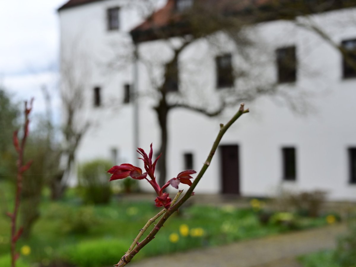 Throjaphoto's tweet image. #4gewinnt #ConnectFour

Frühling auf der weltlängsten Burg zu #Burghausen. Teil 2 von 2

#Castle #Bavaria #Germany