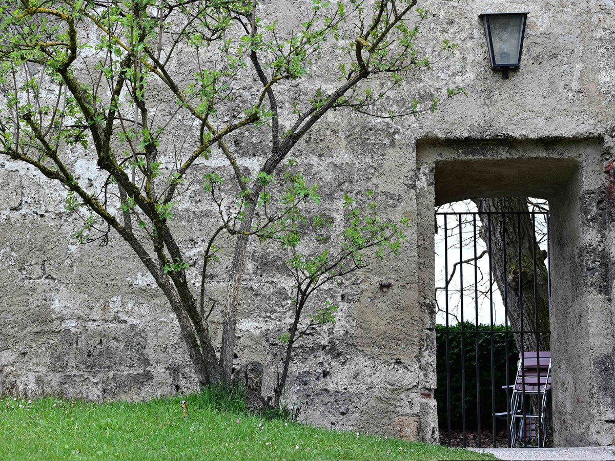 Throjaphoto's tweet image. #4gewinnt #ConnectFour

Frühling auf der weltlängsten Burg zu #Burghausen. Teil 2 von 2

#Castle #Bavaria #Germany