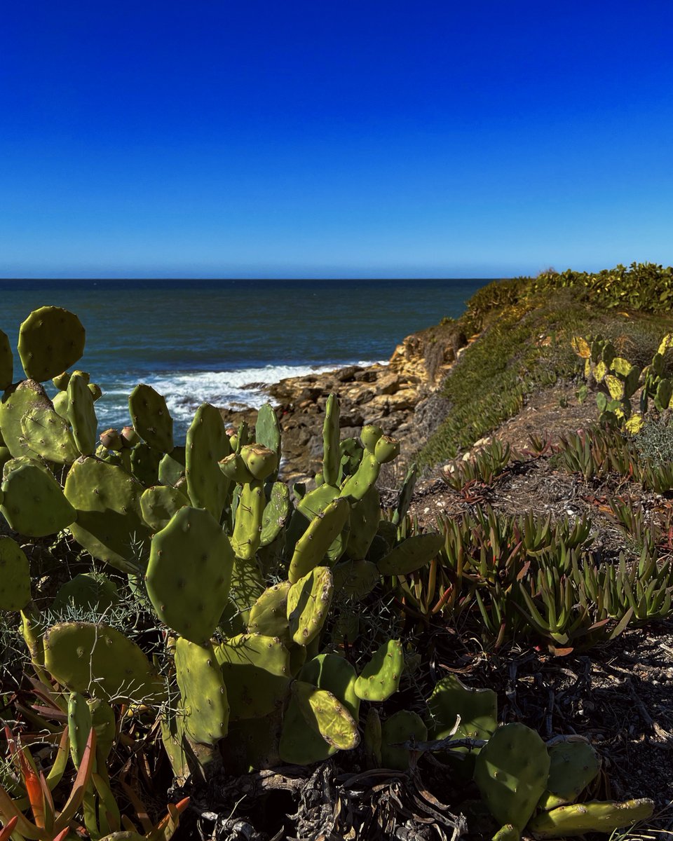 Wiktoria tweet media