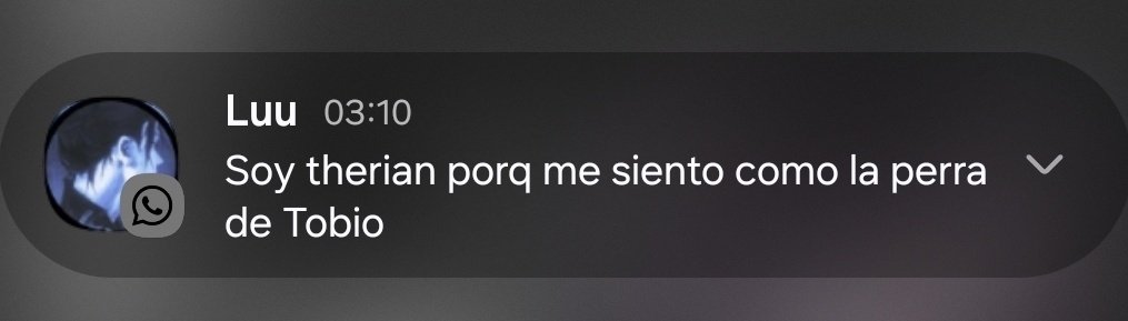 Aku( ×-° ) ᶻ 𝗓 𐰁 .ᐟ de luto MEGUMI VOLVE tweet media