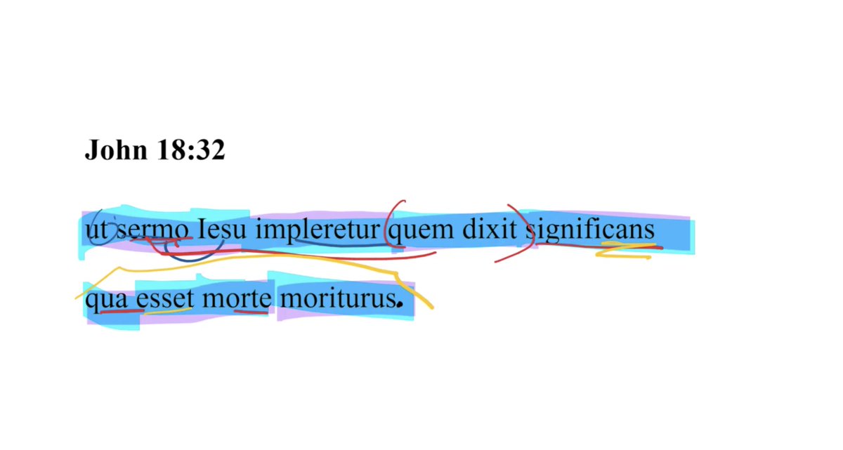 Daily Dose of Latin tweet media