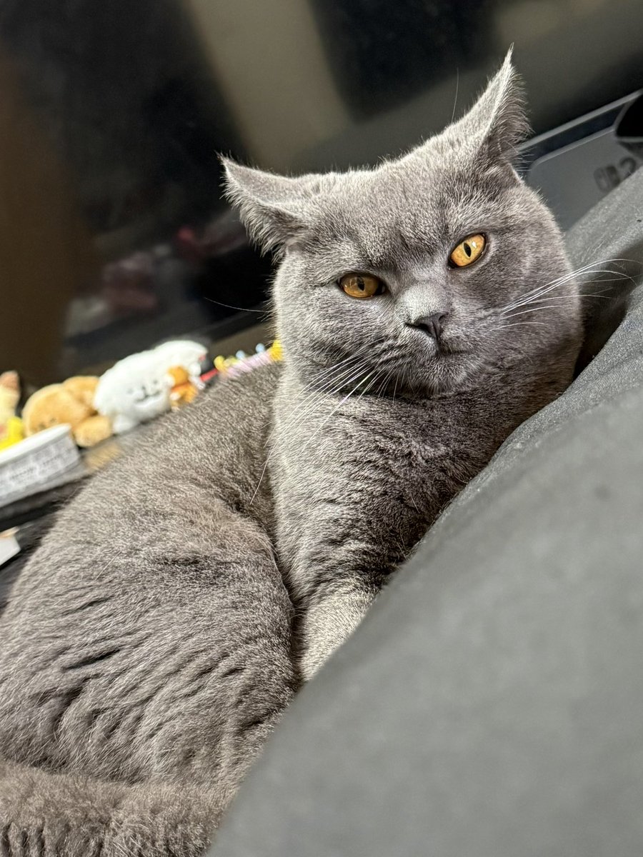 おこげ tweet media