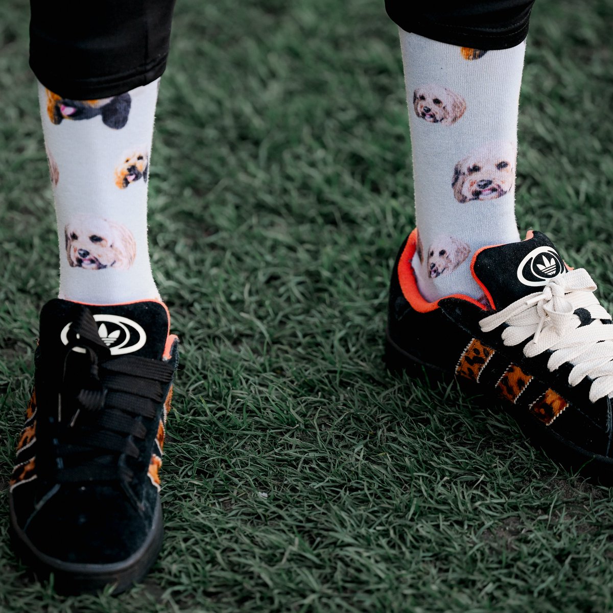 Grimsby Town F.C. tweet media