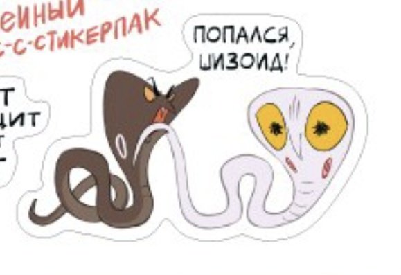 sinneronthright's tweet photo. наконец-то эту динамику признали каноном сероволков https://t.co/17h4w5jmDj