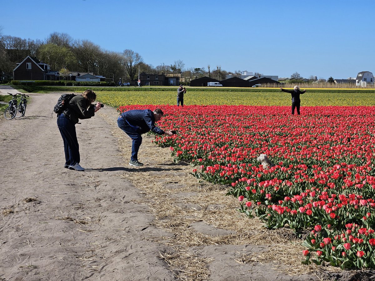 Schrödingers Kaj 🐱🐈 tweet media