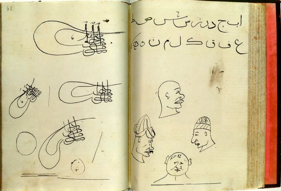 Vatanabeus tweet media