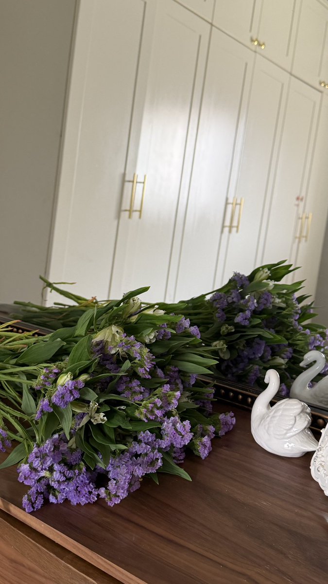 ꫂ ၴႅၴ tweet media