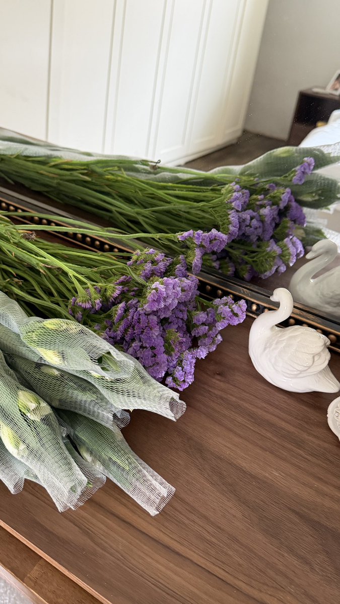 ꫂ ၴႅၴ tweet media