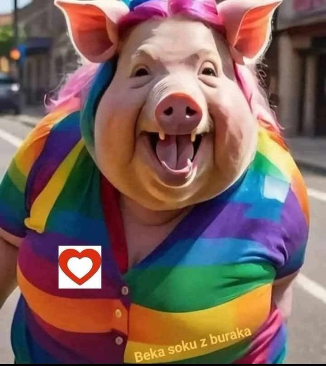 Miro 🇵🇱 tweet media