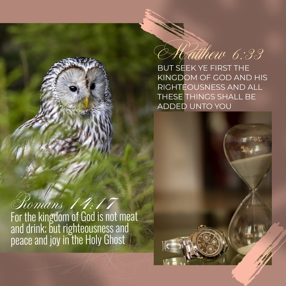 𝓜​𝓲​𝓶​𝓲​𝓵​𝓸​𝓿​𝓮​𝓵​𝓮​𝓽​𝓽​𝓮​𝓻​ ❥ 𑜞᭄ tweet media