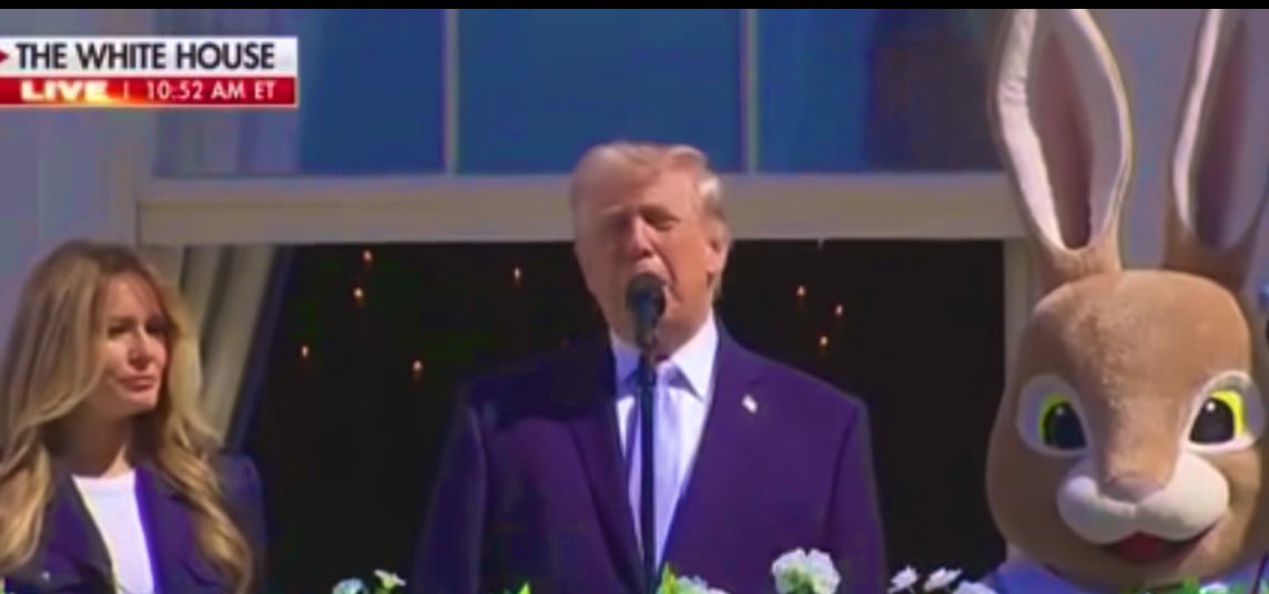 kees van amstel tweet media