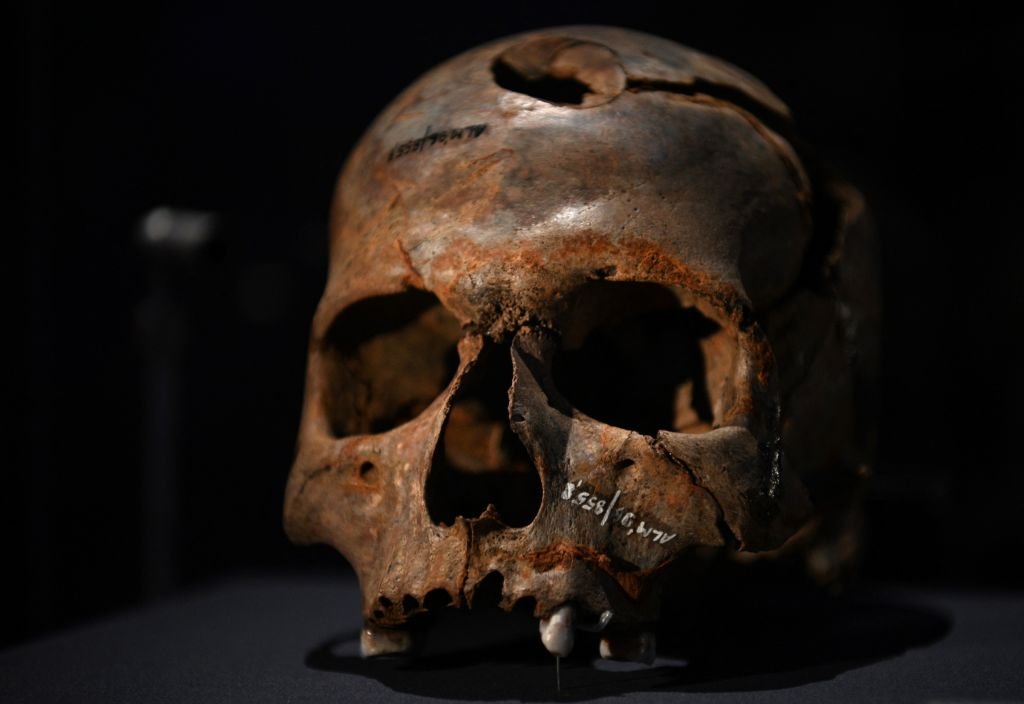 TheVoiceNews's tweet photo. Zimbabwean families demand return of ancestors’ skulls taken by British forces

Descendants urge UK institutions to help locate remains taken as colonial “war trophies”

https://t.co/3SnUlr4Sc8 https://t.co/b9sbrBfmfr