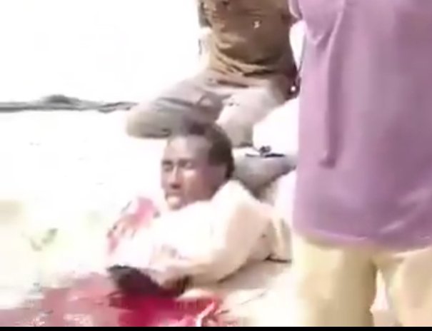 smartintelle tweet media