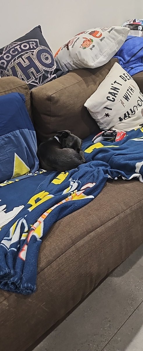 Justin Jackson tweet media