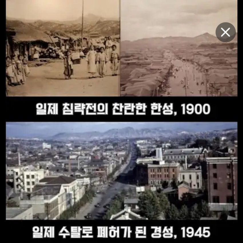 ナユタ🟠🇯🇵 tweet media