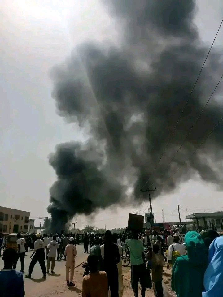 vermerlleey tweet media