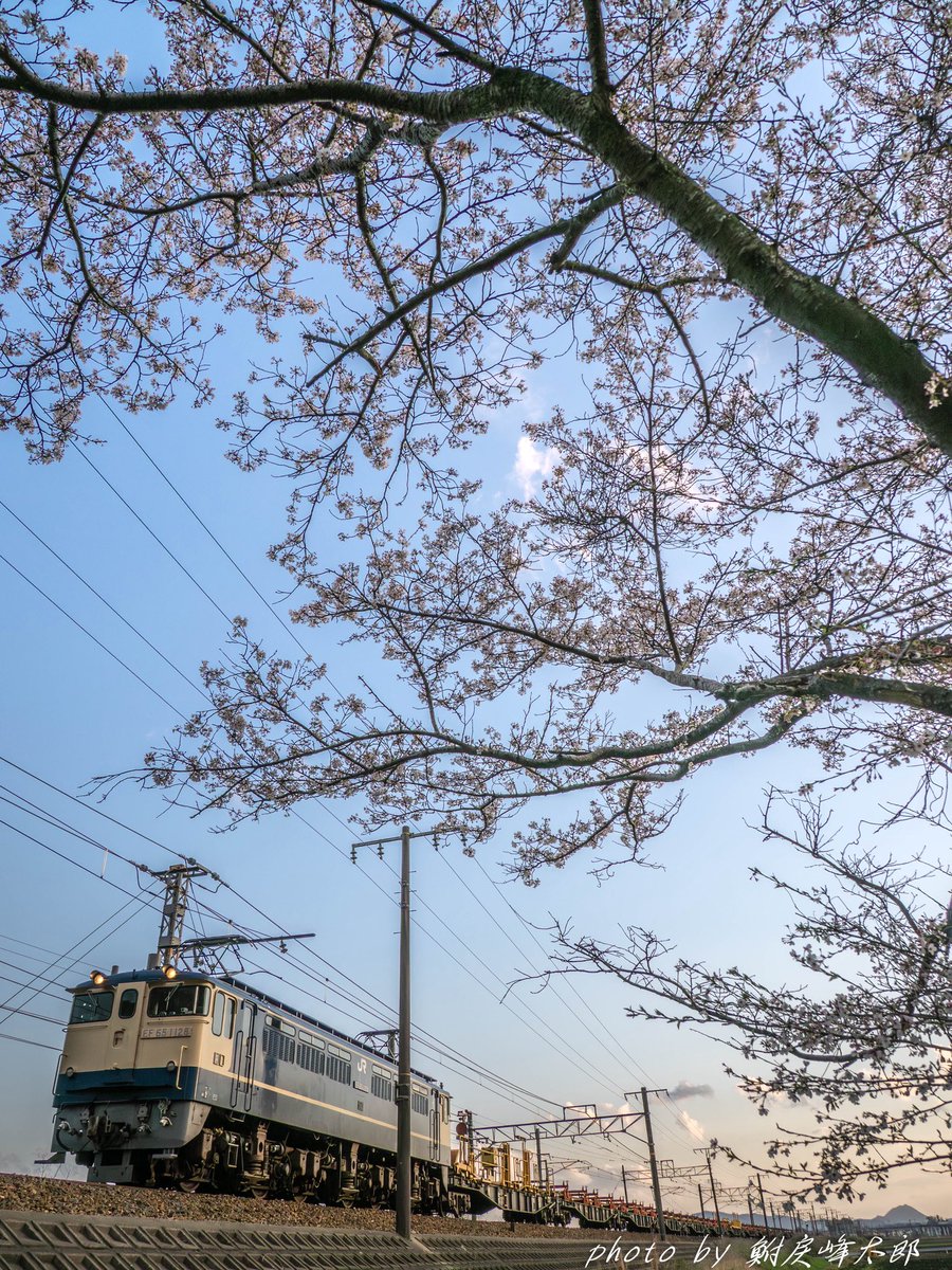 鮒戻峰太郎 tweet media