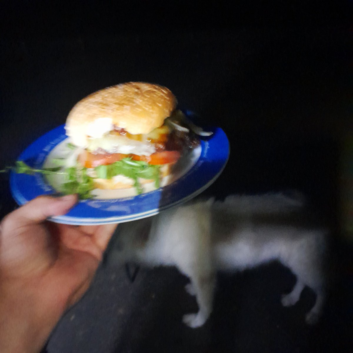 TuckerHusky's tweet photo. Burbers at the waterfall carpark after the dangerous trek through the bush back :3

Better caption:
Drunk husky makes burber an takes 420p photo
#tuckerhusky #furryvanlife #furryvan #vanlifeaustralia #FurryFriends #husky #Vanlife #springbrook https://t.co/cXzem7jGsQ