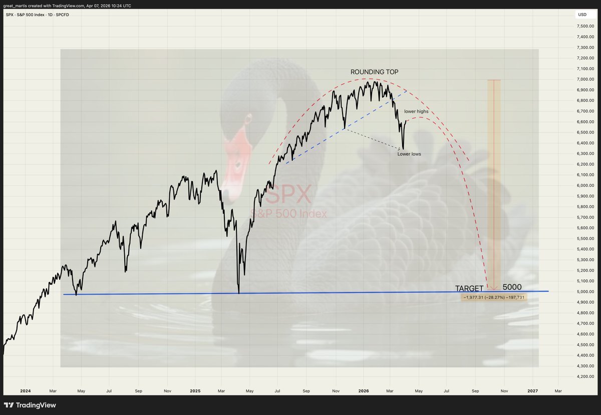 The Great Martis tweet media