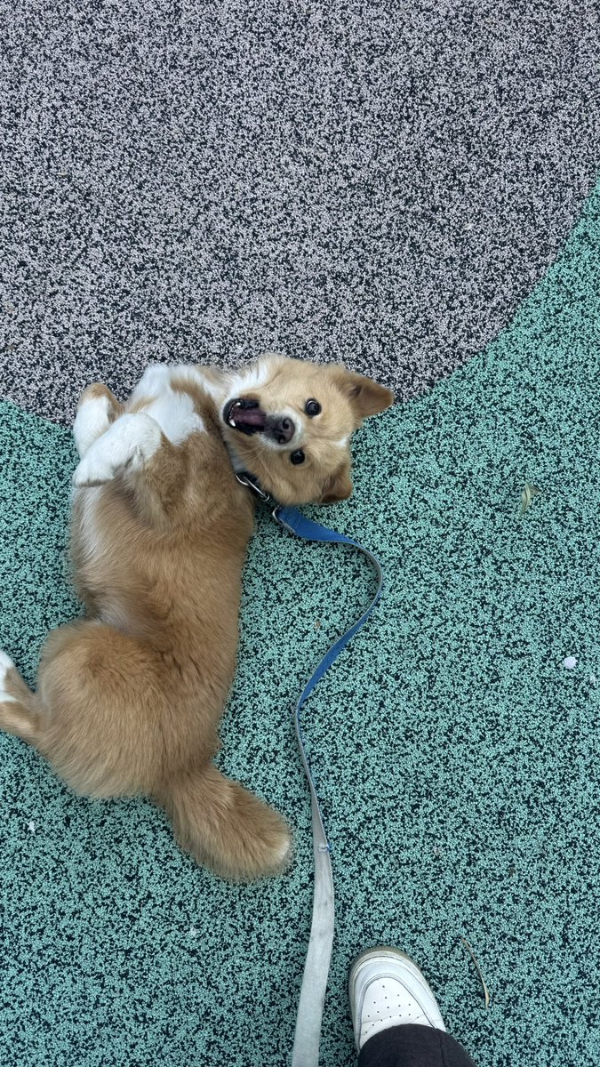 김딱밤 아카이브 tweet media