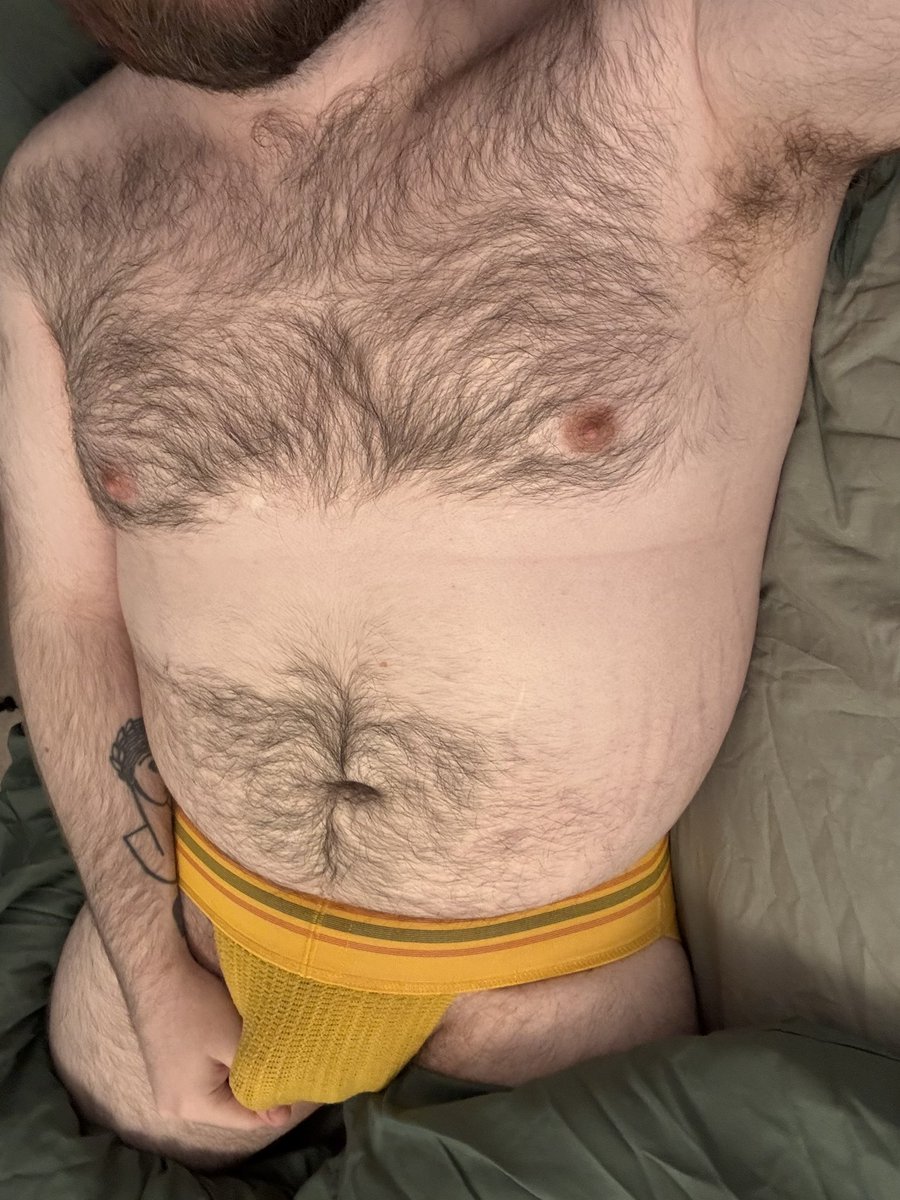 GayGuy🐻 tweet media