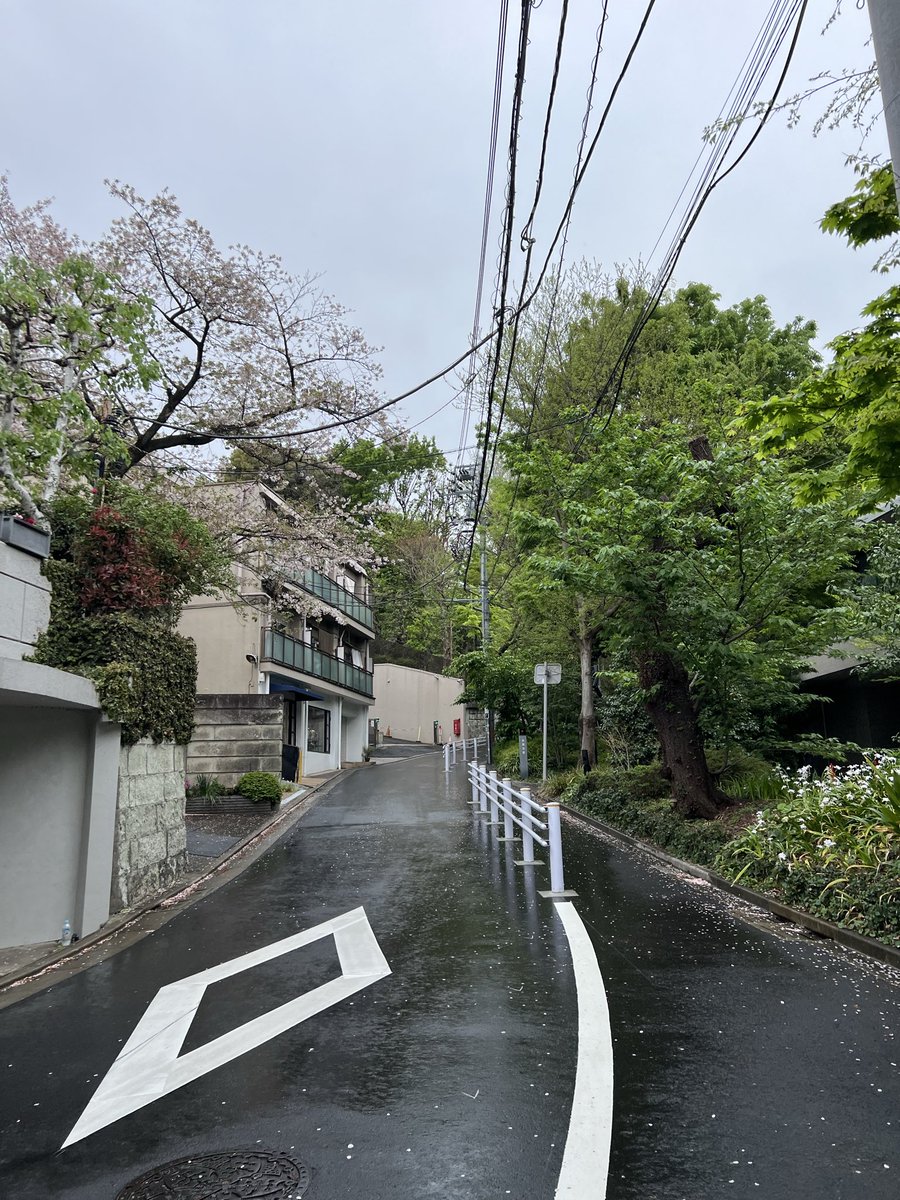 h480s2's tweet photo. 中目〜代官山散歩🚶🌸☂️🌧️
一芯の角煮定食だいすき https://t.co/GIUmL4K1HE