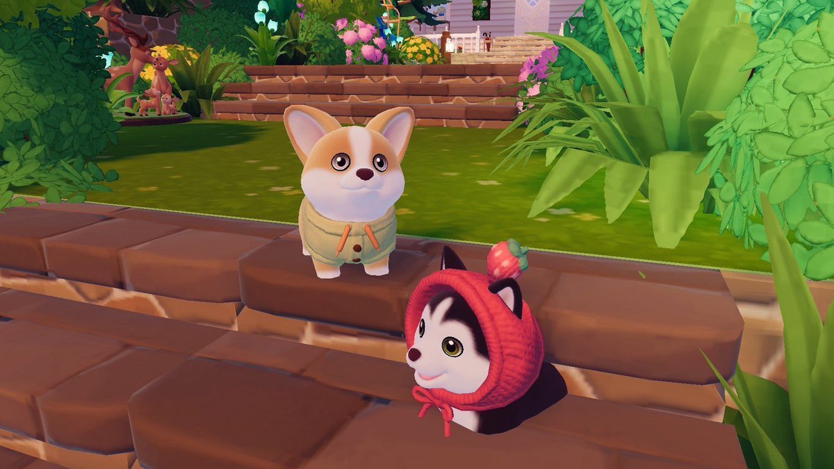 ルナ⋆☾·̩͙꙳ tweet media