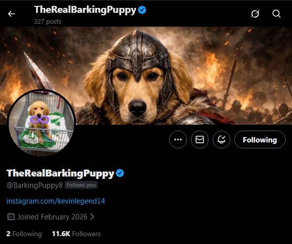 Barking Angel tweet media