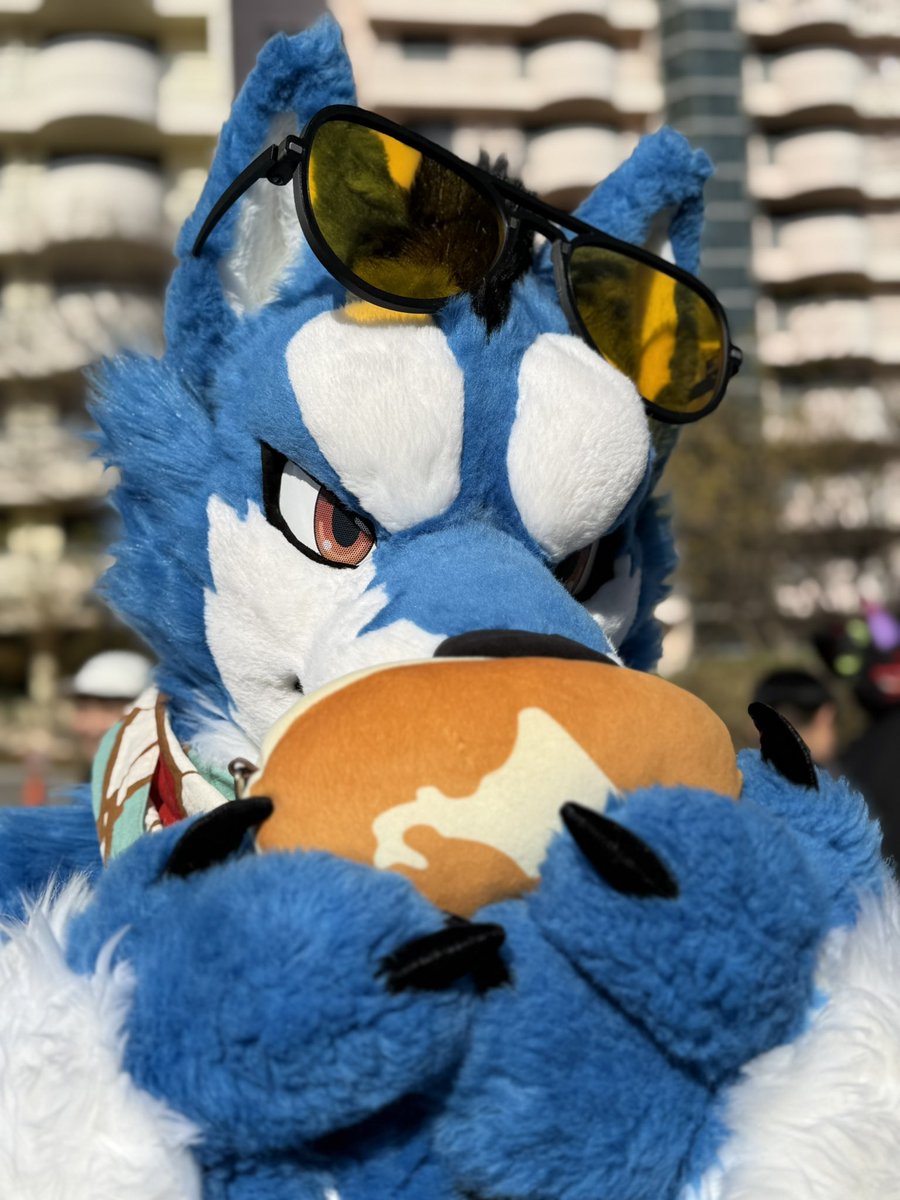 치곰 チゴマ 🐻‍❄️🍰 tweet media