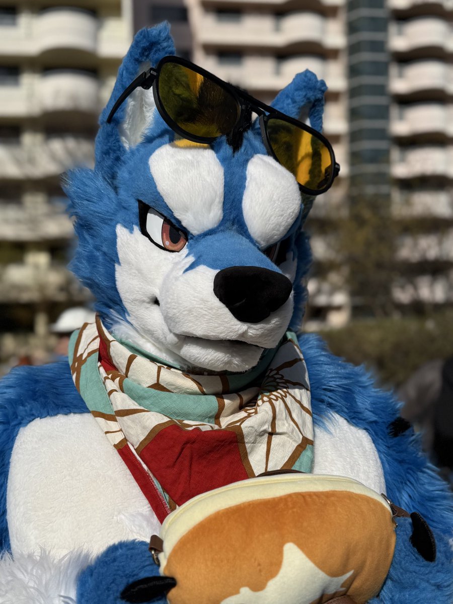 치곰 チゴマ 🐻‍❄️🍰 tweet media