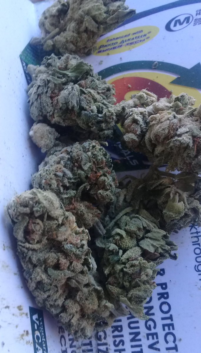 Cannabiss_Life's tweet photo. Apricot🍑  tastes and burns so nice.
Outdoor isn't meant to be mid https://t.co/YJ3xQYshhq