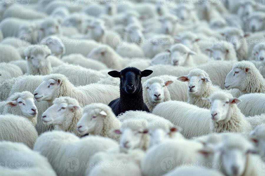 LayerZero in this bear market