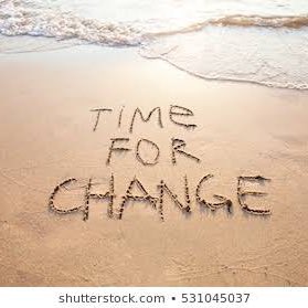 Northern monkey tweet media