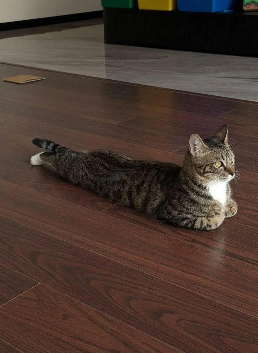 Wholesome Side of 𝕏 tweet media