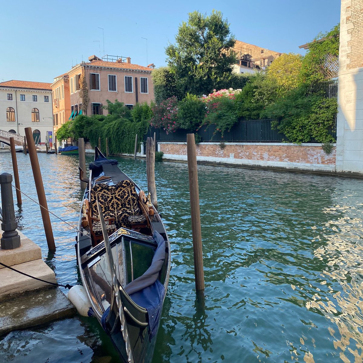 teatrolafenice's tweet photo. «Non giudicare ogni giorno dal raccolto che ottieni, ma dai semi che pianti» (Louis Pasteur). Buongiorno, amici!  

#20maggio https://t.co/wtGM05xPh5
