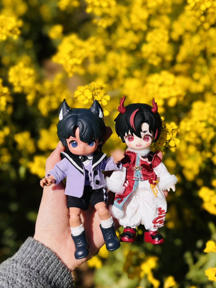 쥐인형 tweet media