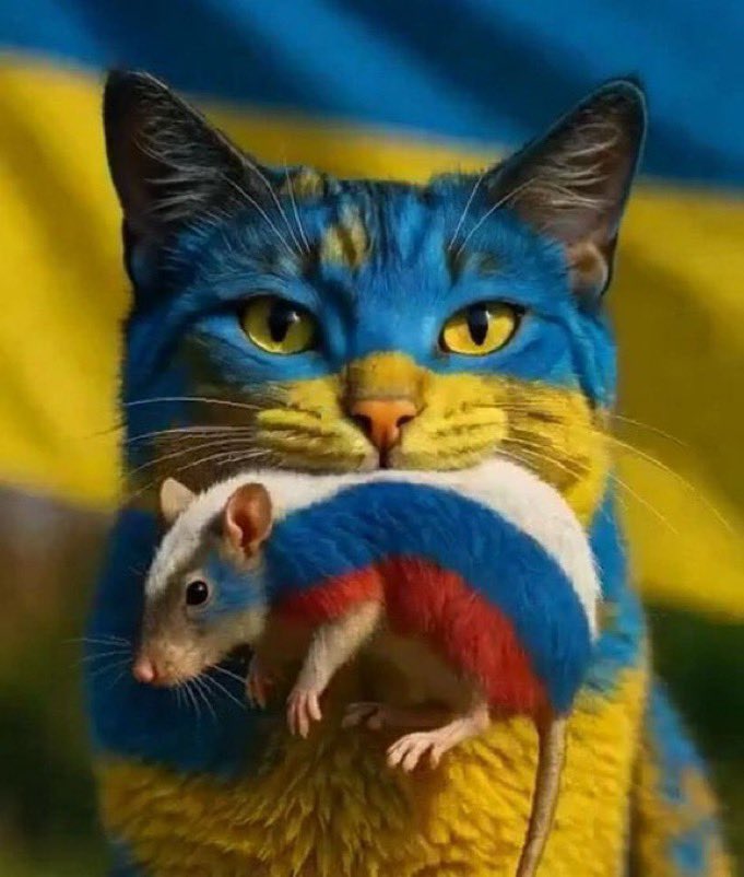 Phoenix68 🇪🇺🇮🇹🇺🇦 🇨🇦🇮🇱 🇬🇪🇹🇼🇯🇵🇰🇷 tweet media