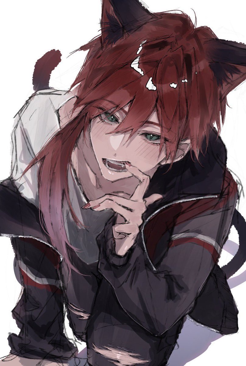 T▃▃▃T tweet media