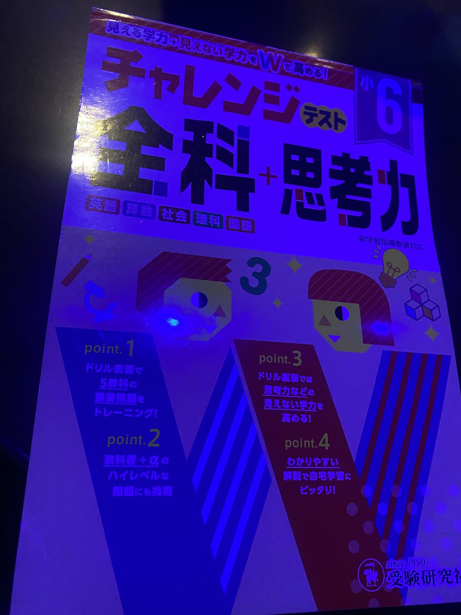 Y@◎🐻おたがちゃ tweet media