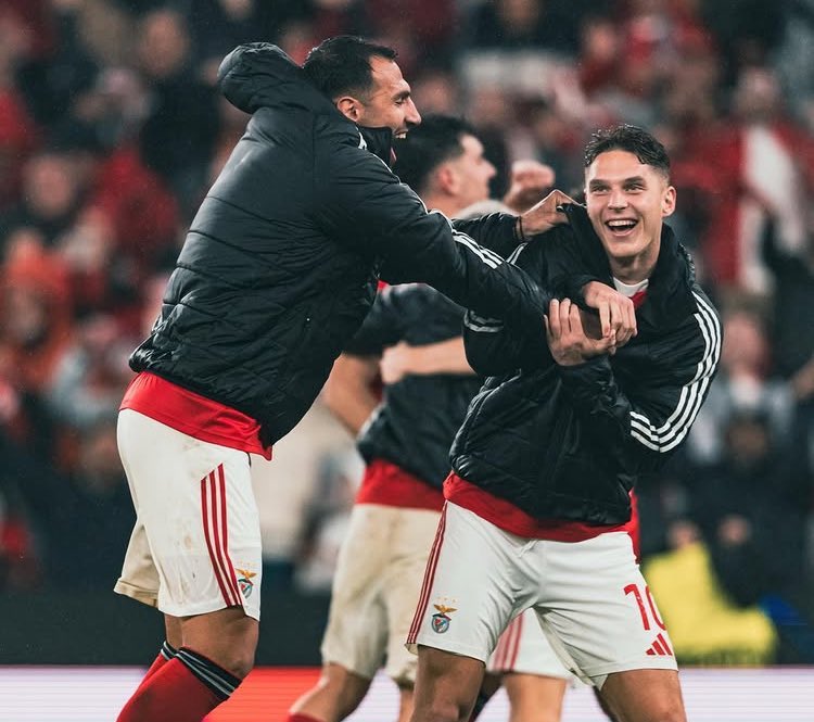 O Glorioso tweet media