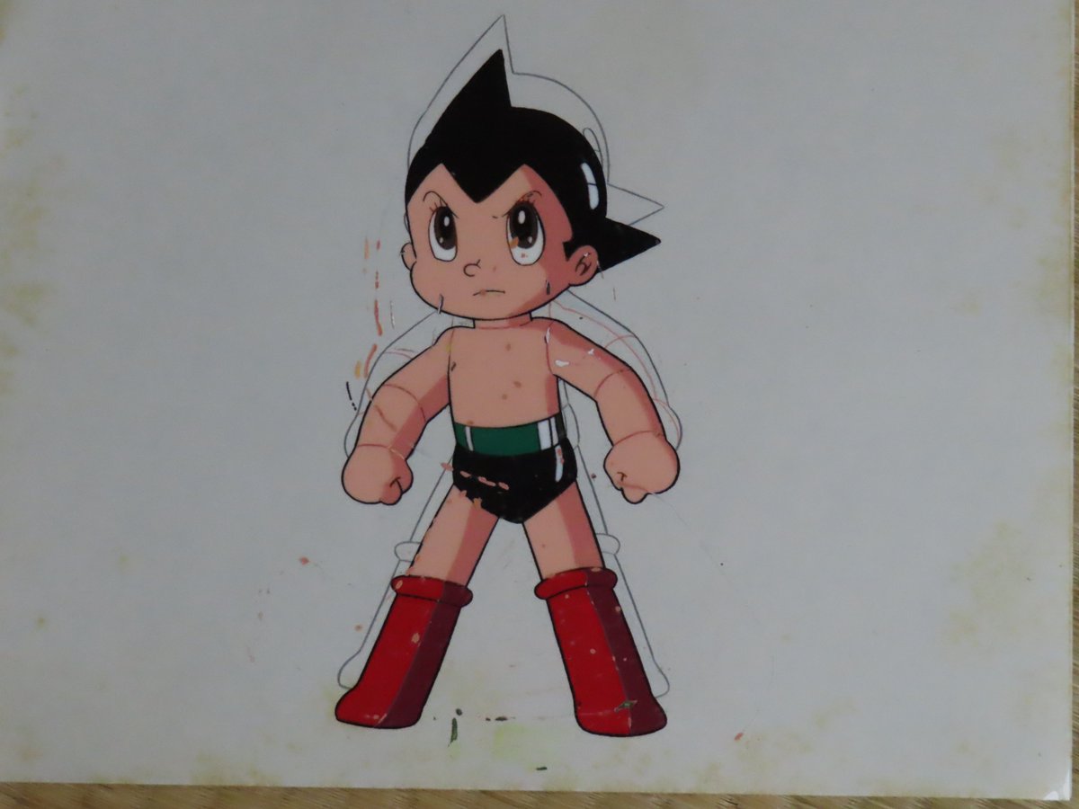 織田真由美 tweet media