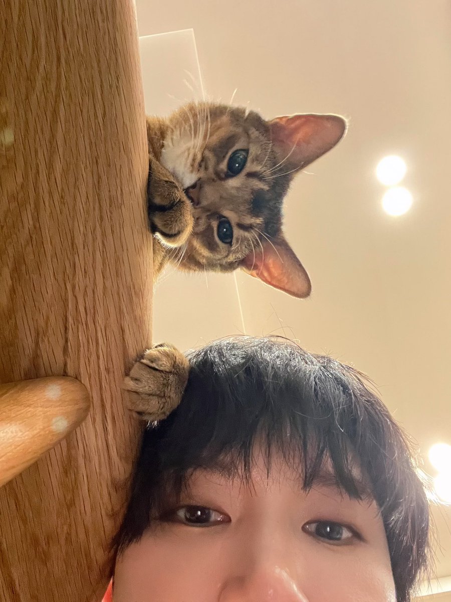 Peanut (#SO10)🐰 #TEN_STUNNER tweet media