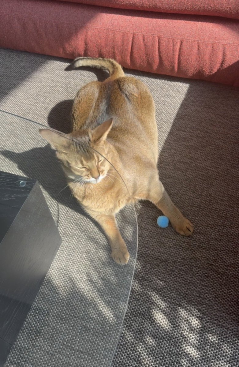 Peanut (#SO10)🐰 #TEN_STUNNER tweet media