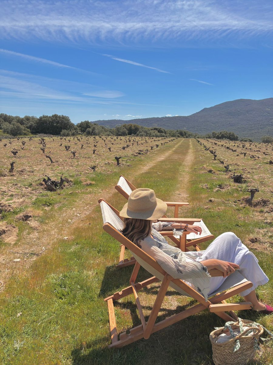 olds_spain's tweet photo. My retirement plan https://t.co/fkTZR3cDLb