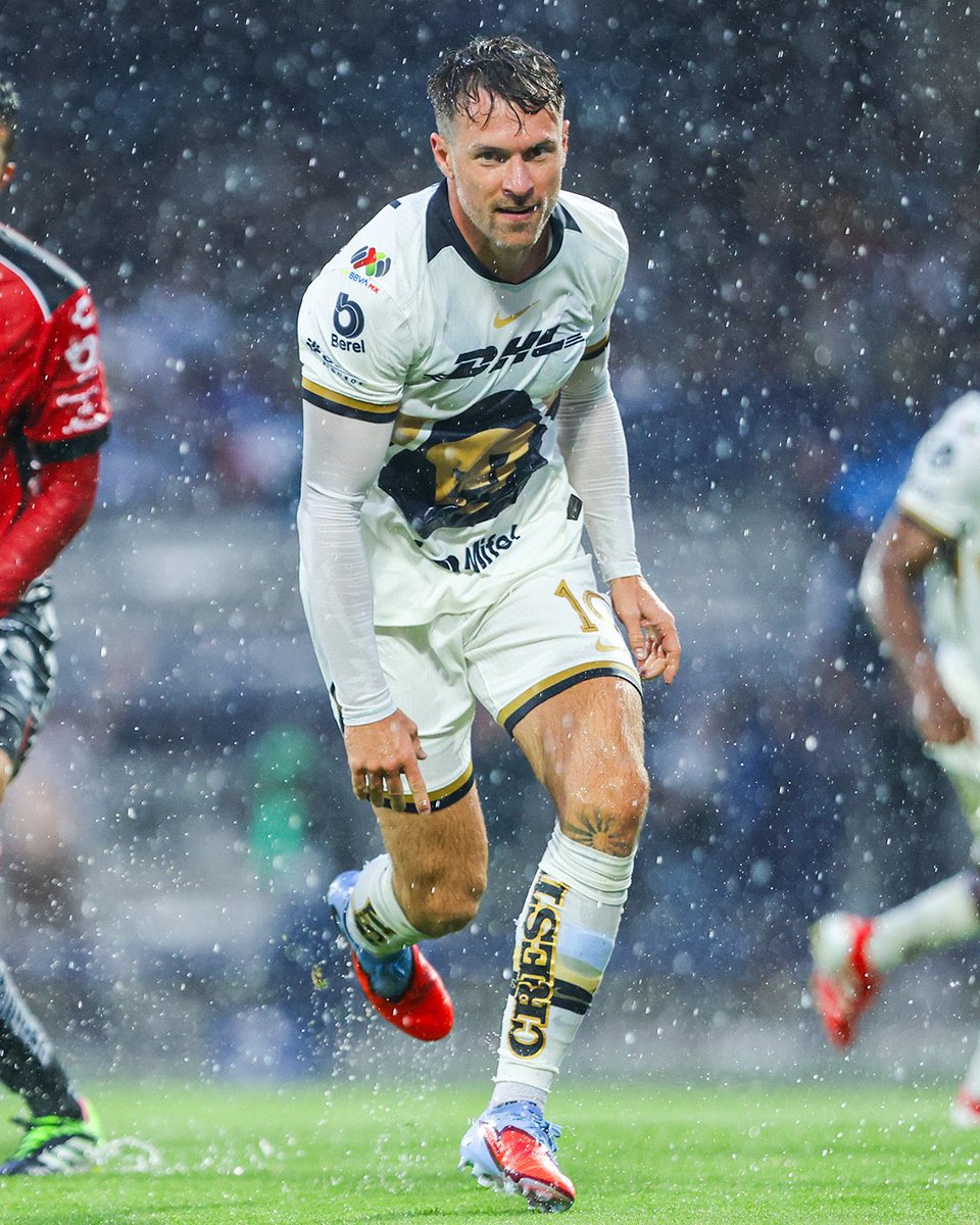 عمرو tweet media