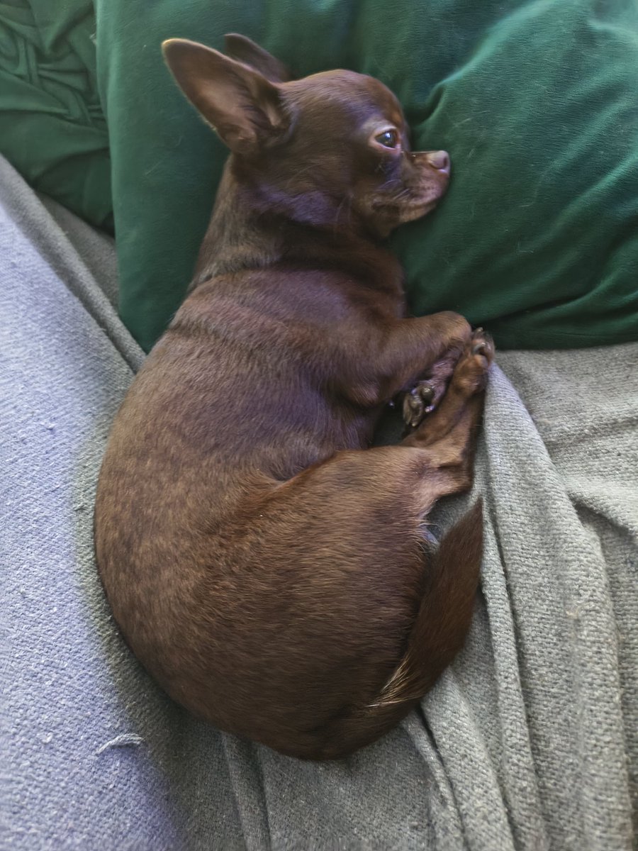 sam antinha tweet media